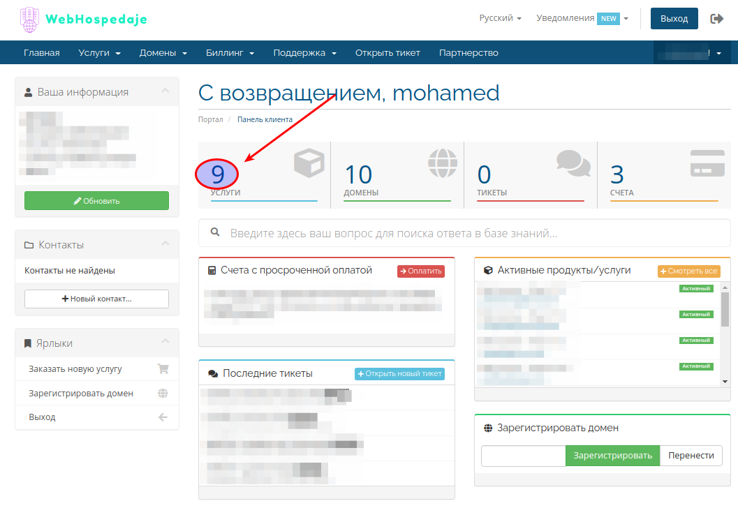 Панель управления с услугами, поддержкой и биллингом веб-хостинга.